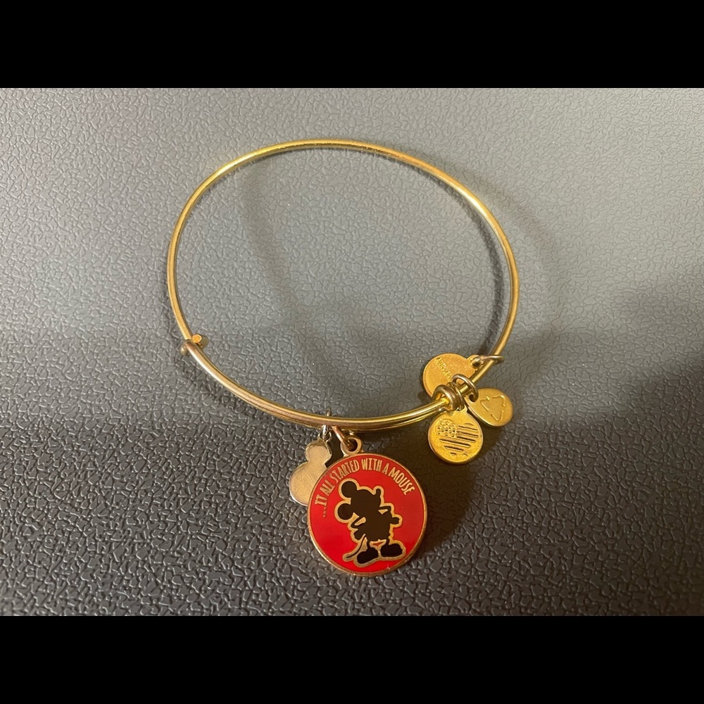 Alex and Ani Adjustable bangle, Mickey Mouse charm from Disney World.